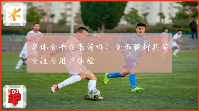 华体会平台靠谱吗？全面解析其安全性与用户体验