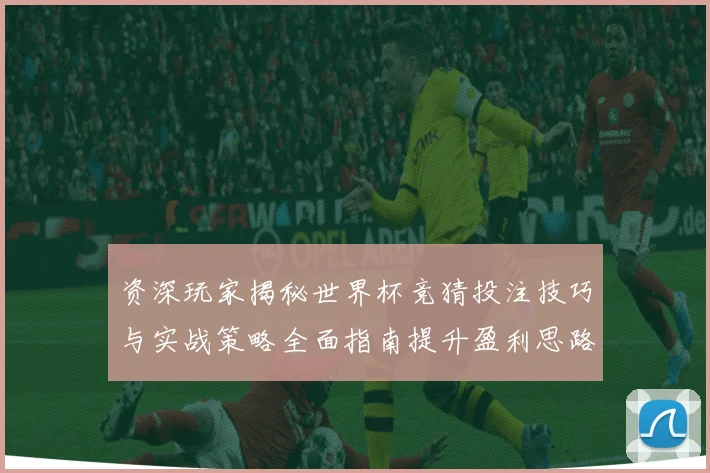 资深玩家揭秘世界杯竞猜投注技巧与实战策略全面指南提升盈利思路