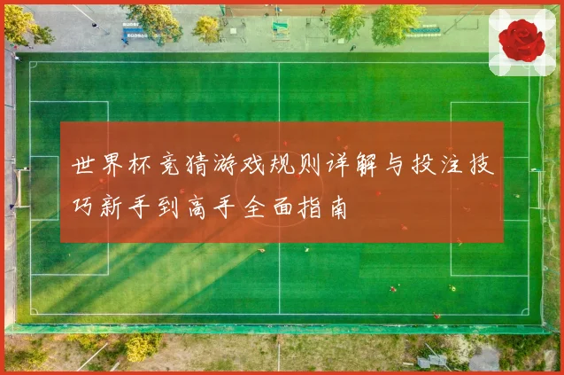 世界杯竞猜游戏规则详解与投注技巧新手到高手全面指南