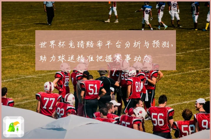 世界杯竞猜赔率平台分析与预测，助力球迷精准把握赛事动态